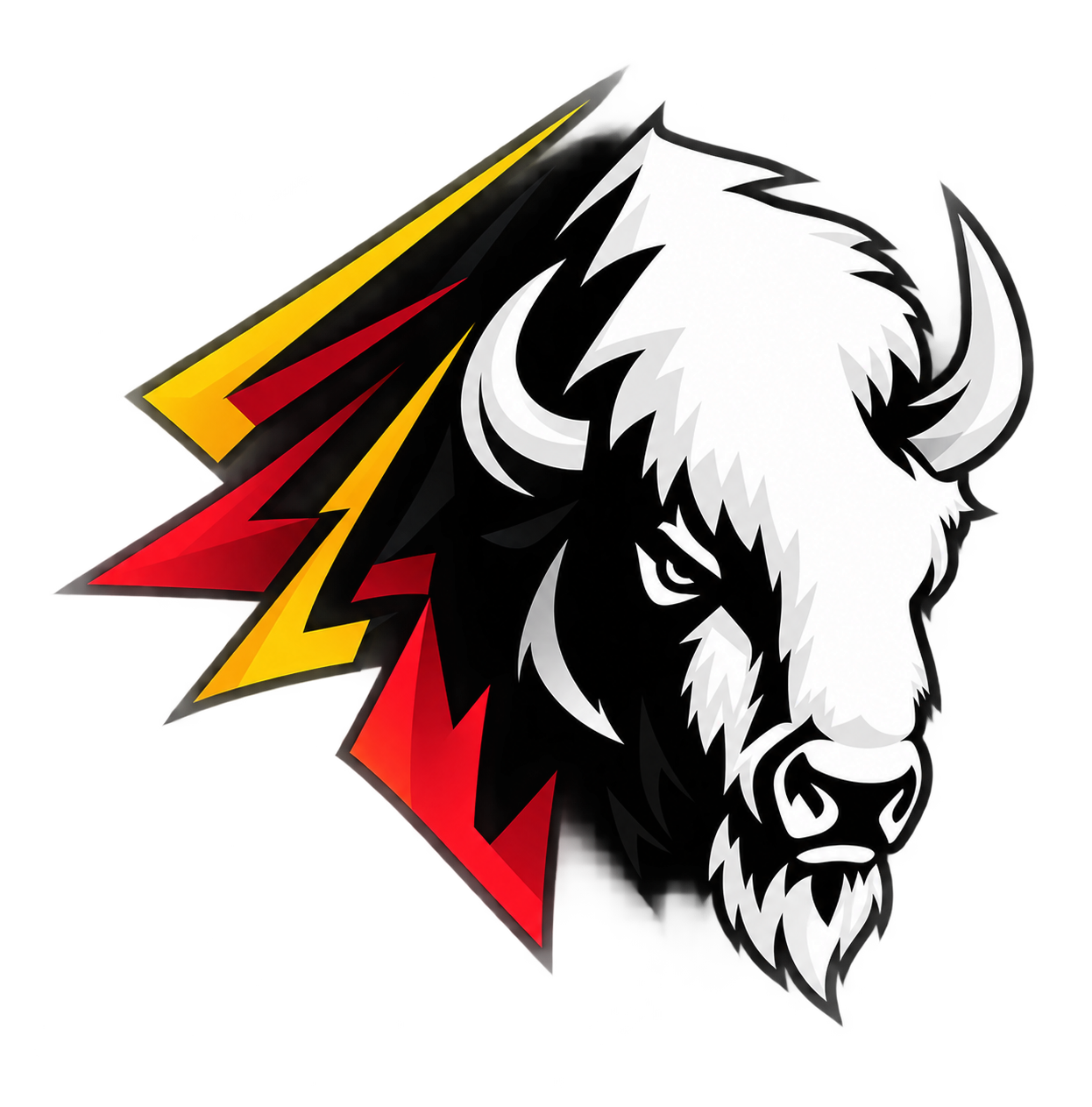 BisonPool